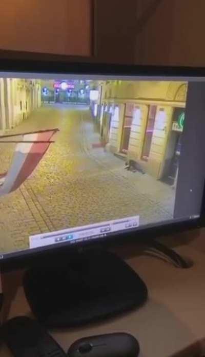 This is happening right now in Vienna, Austria