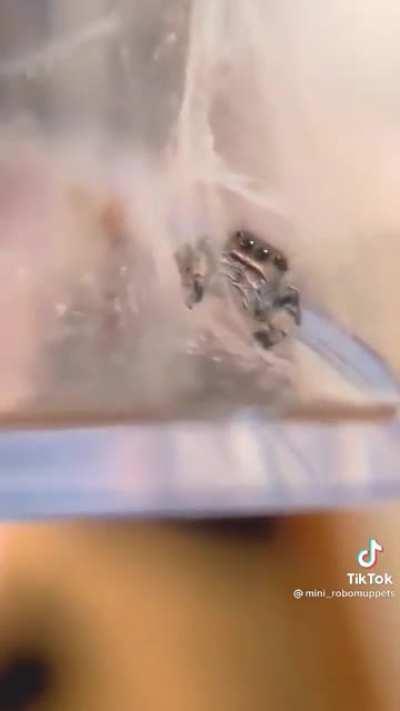 Bea gives us a tour of her home :)