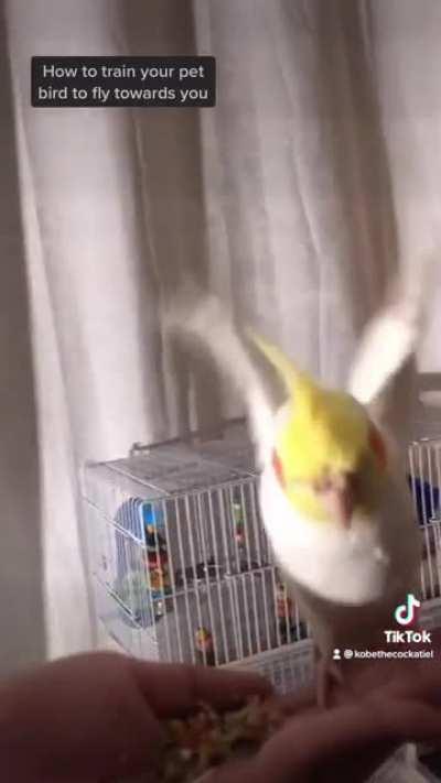 Very proud of my boy!