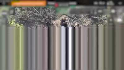 Ukrainian Marines of the 503rd Battalion of the 38th Marine Brigade captured and cleared a Russian position in the Pokrovsk direction. September 2025, published 23.09.2025