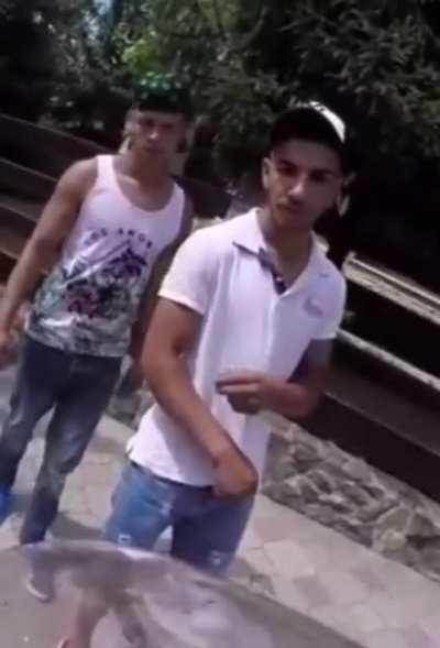 Harsfovba moment lolol 🪲🦍