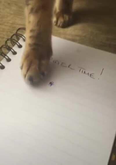 Human creates black magic spider out of thin air, spider defies laws of physics