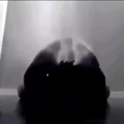 Leaked voicemail from edp 445