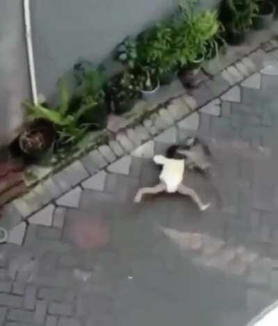 Deixa a vó tira a foto