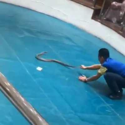 Behold your worst nightmares!