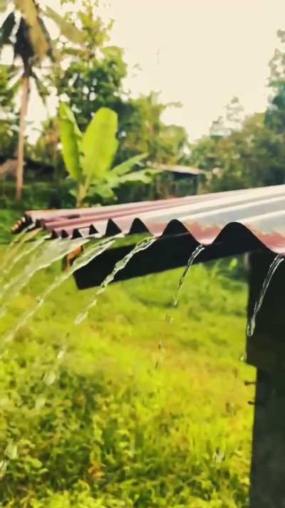 No creerán el resultado