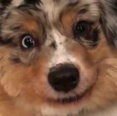 There was a Smile at Least