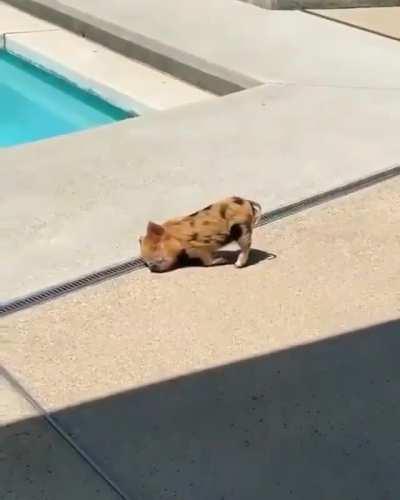 Sunday morning vibes