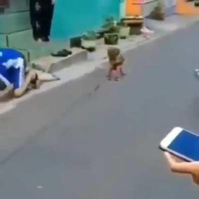 Luangameplay666 - Video #4015