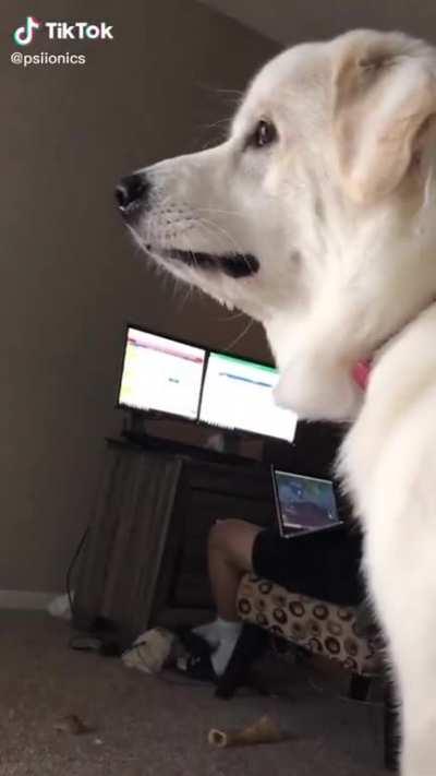 You&rsquo;re excused