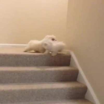 I just witnessed a murder