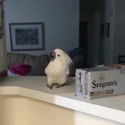 HMC while i show off