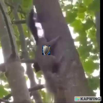 When you miscalculated your cd's on Algalon as a Warrior tank