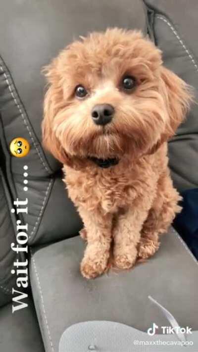 TEH FLOOF OF EPICNESS