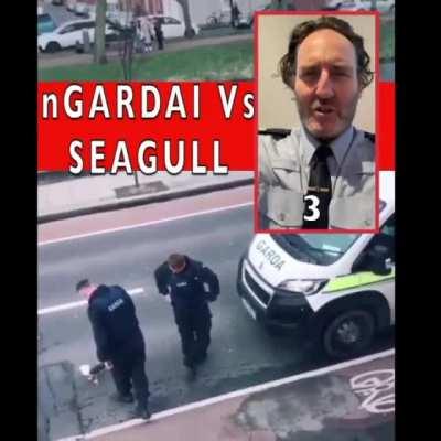 Garda 1-0 seagull