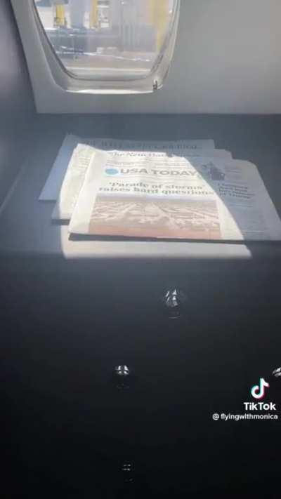 Rich people use private jet to fly their PETS alone!!