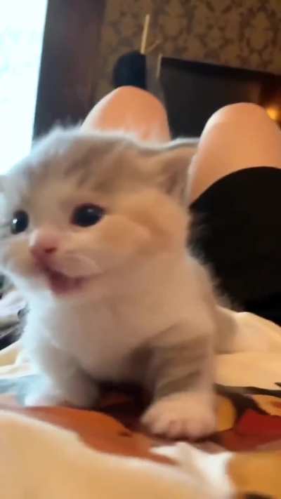 Look how cute he is!