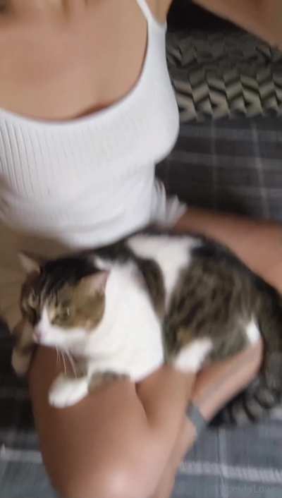 His name is Chips and he's addicted to me, just like you would be living with me, I am right?