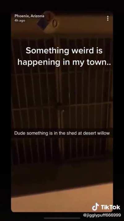 Possible skin-walker in arizona?