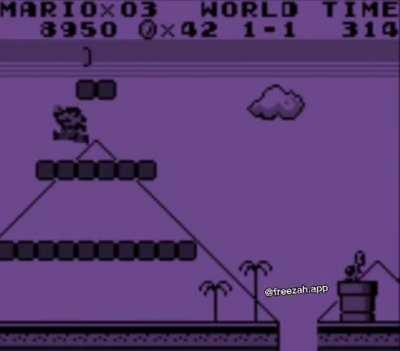 roamin’ round sarasaland with mario bros.