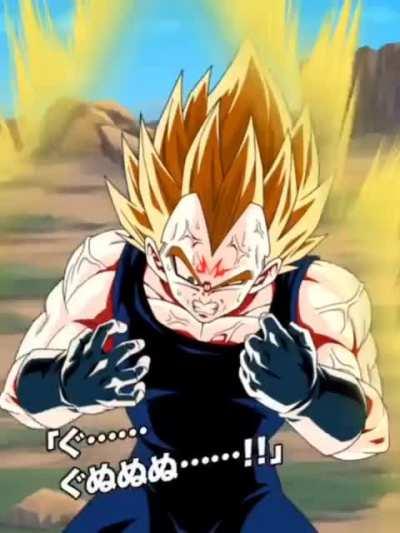 Vegeta's Pride Voice edited