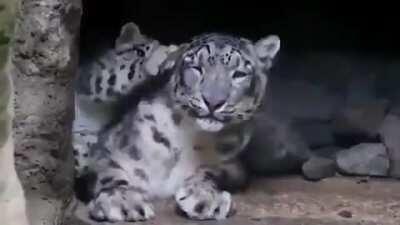 Tapping mom so she can pay attention to me