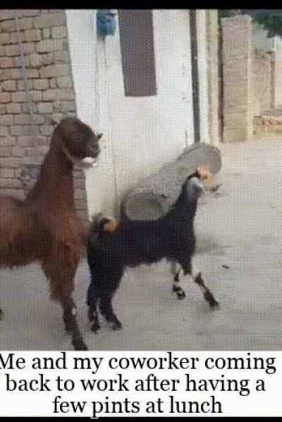 First time posting here.