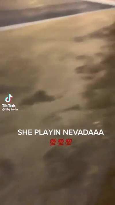 hot dog vendor playing nevada in the wild ⁉️