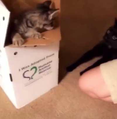 Spain but the S is silent