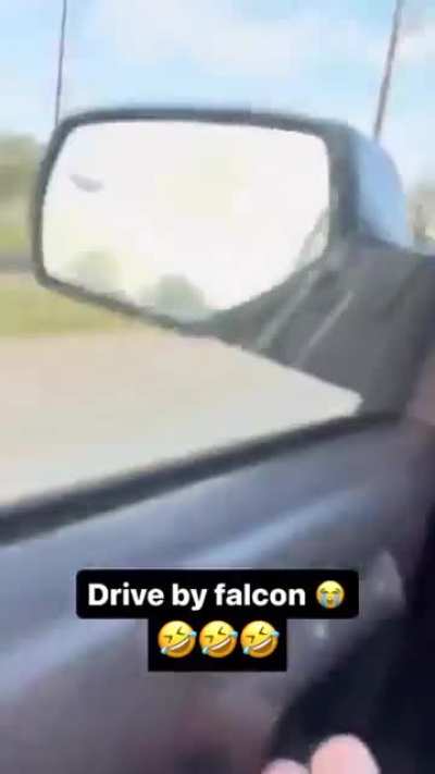 drive by falcon