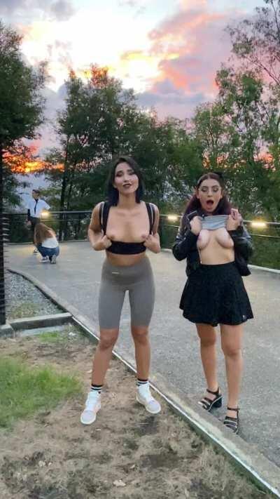 That guy in the back is getting the picture with the wrong landscape [GIF]