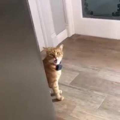 well Hello to you too