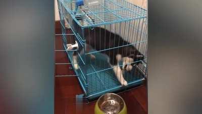 There is only one explanation for this job: LAG