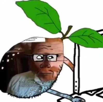 Anybody could help me understand why he a leaf?