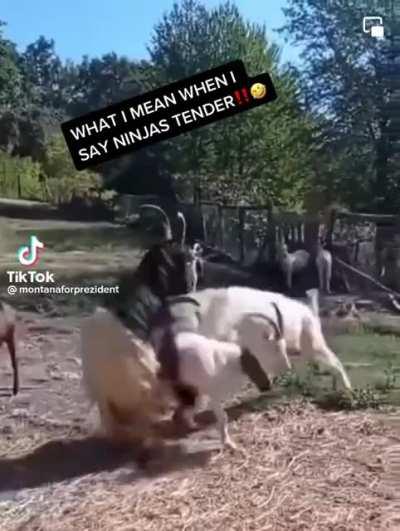 to get the friction on