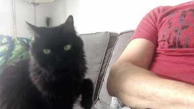 I held out as long as I could