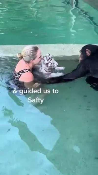 Come with me please. Everyone out of the pool