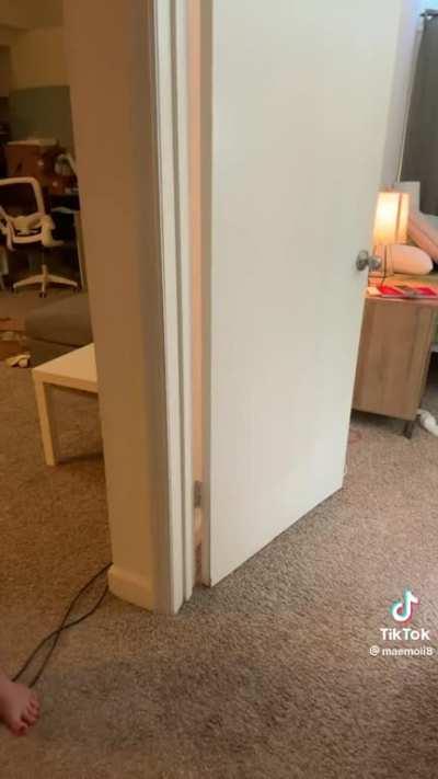 Girls be showin off on my fyp everyday