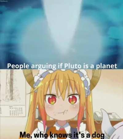 I am intellectually superior