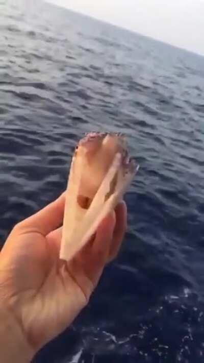 This gives me the creeps