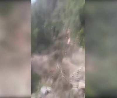 Idiot calculating wrong the fall of a tree