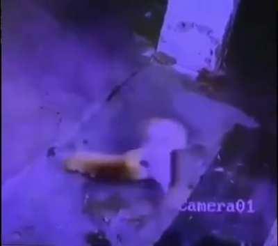 1 cat + 1 cat = 3 cats