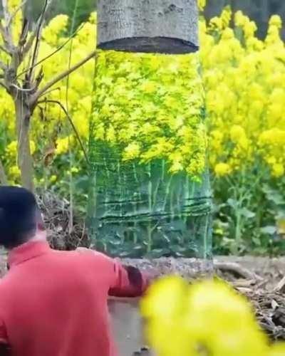 Wood you look at that