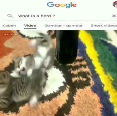 The hero we all need