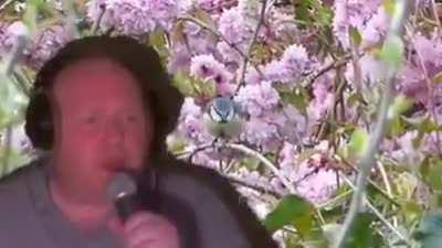 This go so hard, feel free to screenshot