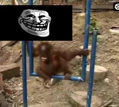 When you when me when music class😂🤣😂🤣😂😂🤣😂😂🤣😂😂