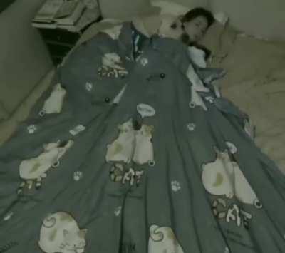 We simply don't deserve dogs.🐕😻