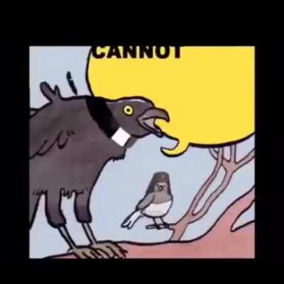 Πιο ροκάδες στην Αμερική