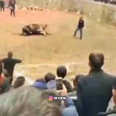 *Newton has left the chat*