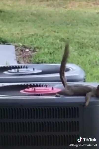 Lo que el viento se llevó. 😂